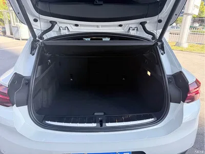 2023 BMW X2 sDrive 25i Radiance Edition, фото 4, лот 11569044