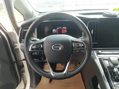 2021 GAC Trumpchi Trumpchi M8 Master Series 390T Ultimate Edition, фото 3, лот 11579348