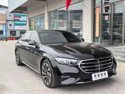 2025 Mercedes-Benz E-Class E 300 L Luxury, фото 3, лот 11223018