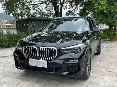 2020 BMW X5 (Import) xDrive30i M Sport Package, фото 1, лот 11197210