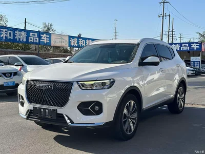 2020 Haval H6 1.5GDIT Automatic Platinum Champion Edition, фото 1, лот 11519352