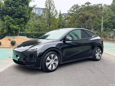 2021 Tesla Model Y Standard Range Rear-Wheel Drive, фото 1, лот 11191881