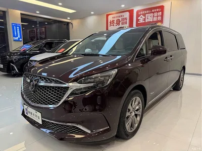 2020 Buick GL8 Avenir Six-Seat Elegance Edition, фото 1, лот 10455892