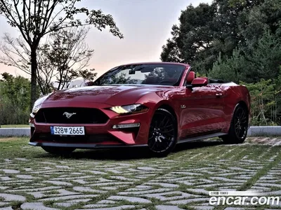 2023 Ford Mustang GT Convertible, фото 1, лот 11132394