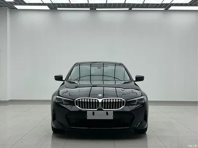 2023 BMW 3 Series 320Li M Sport Package, фото 2, лот 11190906