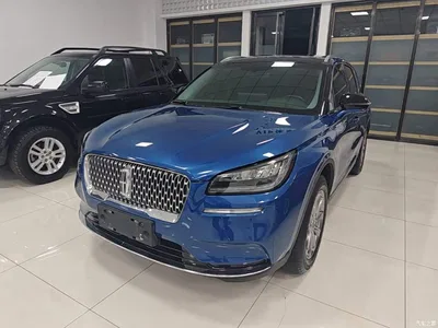 2020 Lincoln Adventurer 2.0T 2WD Premium Enjoyment Edition, фото 2, лот 10357536