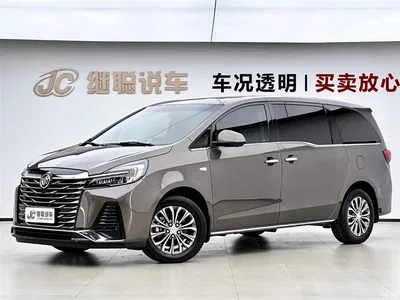 2023 Buick GL8 Facelift Land Business Class Luxury, фото 1, лот 10250643