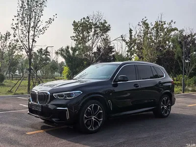2022 BMW X5 xDrive 40Li Premium M Sport Package, фото 1, лот 10463260