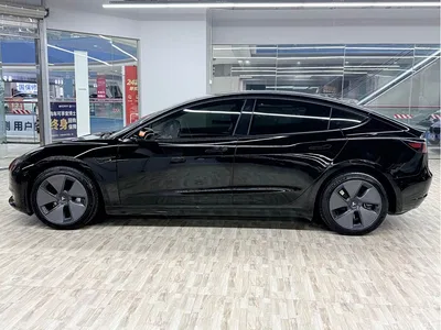 2022 Tesla Model 3 Model Rear-Wheel Drive Version, фото 2, лот 11347515
