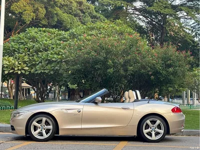 2011 BMW Z4 sDrive23i Flame Limited Edition, фото 4, лот 11183708