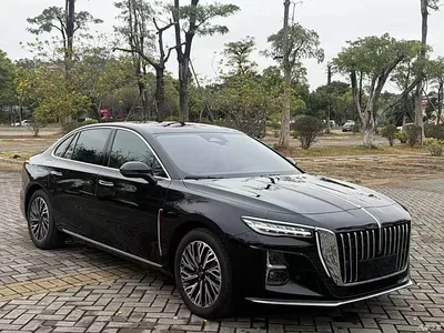 2023 Hongqi H5 2.0T Auto Smart Connect Flag Comfort, фото 3, лот 10288899