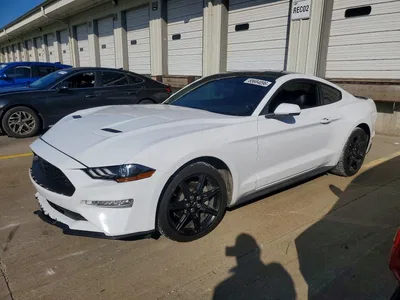 2019 FORD MUSTANG, фото 1, лот 10532587