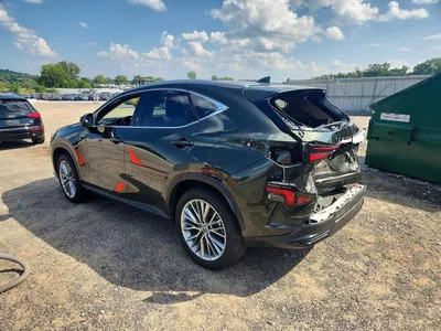 2025 LEXUS NX 350H LUXURY, фото 2, лот 10900745