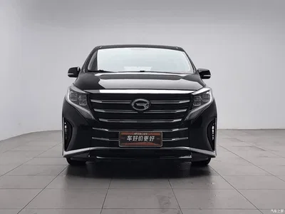 2024 GAC Trumpchi Trumpchi M8 Leadershow Series 390T Luxury Edition, фото 3, лот 10392343