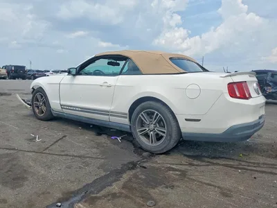 2010 FORD MUSTANG, фото 2, лот 10545407