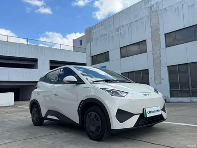 2025 BYD Seagull Smart Drive Edition 305km Vitality Version, фото 3, лот 10250262