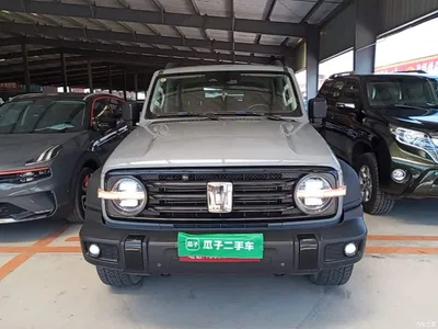 2021 Tank 300 Off-road Version 2.0T Conqueror, фото 3, лот 10347378