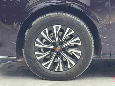 2024 Hongqi HQ9 PHEV Model 2.0T AWD Business Edition, фото 4, лот 10286987