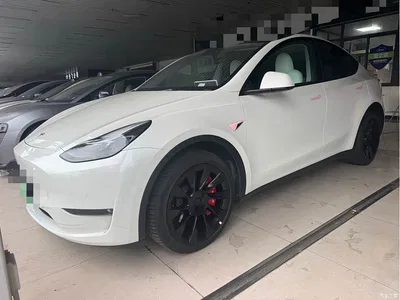 2022 Tesla Model Y Facelift Long Range All-Wheel Drive Version, фото 1, лот 10384870