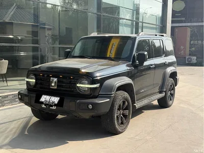 2021 Tank 300 Off-road Version 2.0T Conqueror, фото 1, лот 11270872