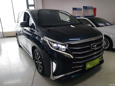 2021 GAC Trumpchi Trumpchi M8 Leading Show Series 390T Premium Edition, фото 4, лот 10424008