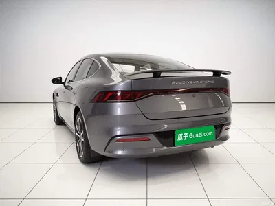 2023 BYD Qin PLUS Champion Edition DM-i 120KM Leading Type, фото 4, лот 11512440