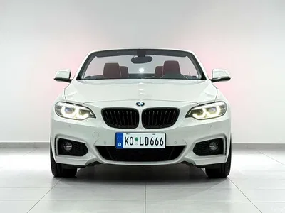 2018 BMW 2 Series (Import) 225i Convertible Coupe Premium M Sport Package, фото 2, лот 10402937
