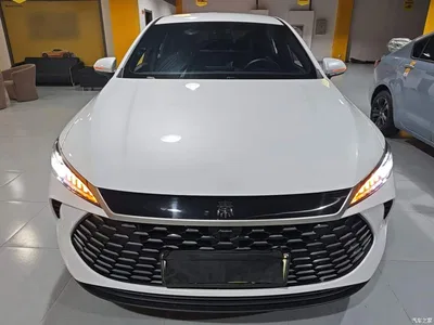2025 BYD Qin PLUS DM-i Smart Drive 55KM Leader, фото 3, лот 11192505