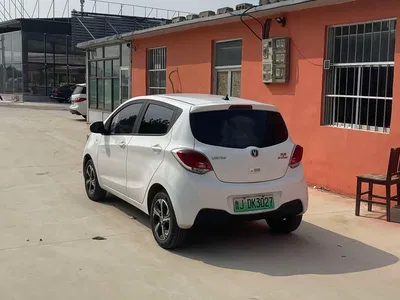 2022 Changan Benben E-Star Appreciation Edition Colorful LFP, фото 4, лот 10249972