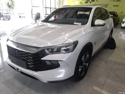 2024 BYD Song Pro New Energy Glory Edition DM-i 110KM Excellence, фото 1, лот 10276814