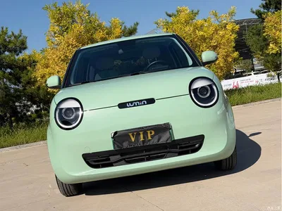 2024 Changan Qiyuan Changan Lumin 205km Voyage Edition, фото 2, лот 10393515