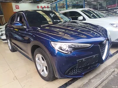 2017 Alfa Romeo Stelvio 2.0T 200HP Elite, фото 4, лот 11212377
