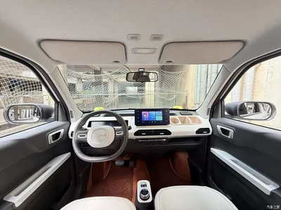2024 Geely Galaxy Panda 200km Panda Knight, фото 4, лот 10432317
