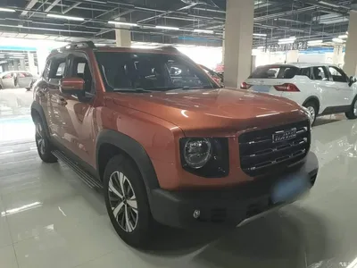 2021 Haval Big Dog 1.5T DCT 2WD Labrador Edition, фото 4, лот 11219546