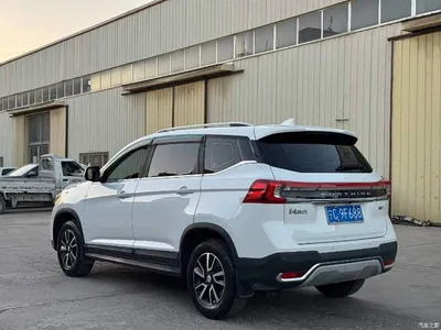 2021 Dongfeng Fengxing T5 1.6L Manual Comfort, фото 4, лот 11150300