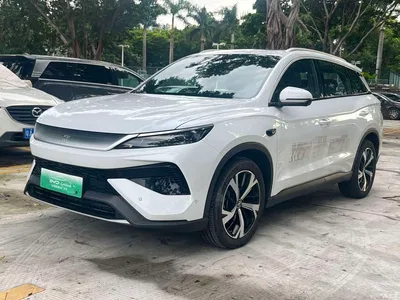2025 BYD Song Pro New Energy 2nd Generation Smart Driving Edition DM-i 115KM Excellence Type, фото 1, лот 10274408
