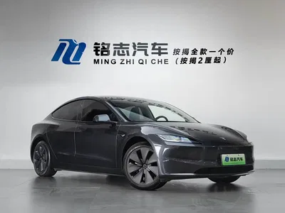 2023 Tesla Model 3 Rear-Wheel Drive, фото 2, лот 10352166