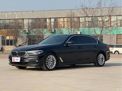 2020 BMW 5 Series New Energy 530Le Luxury Package, фото 1, лот 10474157