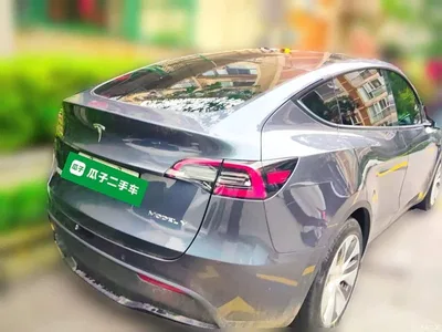 2022 Tesla Model Y Rear-Wheel Drive Version, фото 4, лот 11552283
