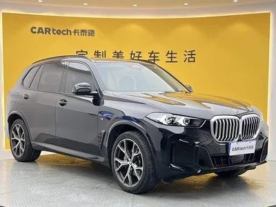 2023 BMW X5 xDrive 30Li Premium M Sport Black Night Package, фото 2, лот 10303179