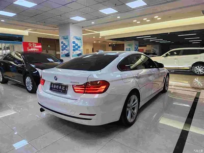 2014 BMW 4 Series 420i Gran Coupe Fashion Edition, фото 2, лот 10285064