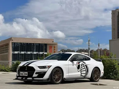 2017 Ford Mustang 2.3T Performance Edition, фото 1, лот 10281177