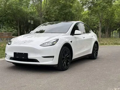 2021 Tesla Model Y Model Long Range AWD, фото 2, лот 10374251