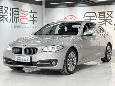 2017 BMW 5 Series 528Li xDrive Leading, фото 1, лот 10888721