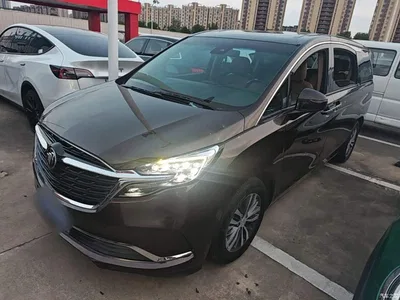 2021 Buick GL8 ES Landlord 653T Premium, фото 2, лот 11179026