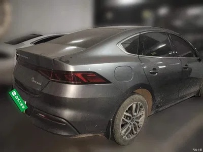 2023 BYD Qin PLUS Champion Edition DM-i 120KM Surpassing Type, фото 4, лот 10838770