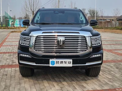 2022 Tank 500 3.0T Business Edition Zaojing 5-Seater, фото 2, лот 10345252