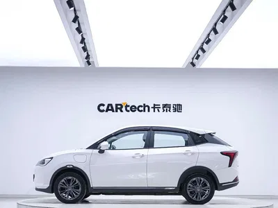 2022 Nezha Auto Nezha V Trend 400 Lite, фото 4, лот 10832277