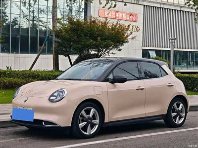 2023 Ora Good Cat 401km Standard Range Premium LFP, фото 1, лот 10332243