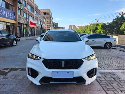 2017 WEY VV7 2.0T Super Luxury, фото 2, лот 10476039